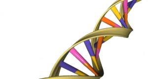 Study reveals a role for jumping genes during times of stress