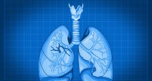 With cellular blueprint for lungs researchers look ahead to organ regeneration
