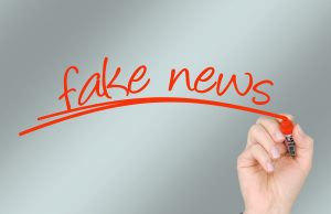 You create your own false information, study finds You create your own false information study finds