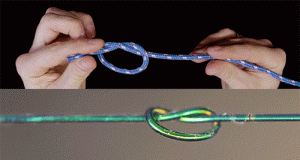 A new mathematical model predicts a knots stability