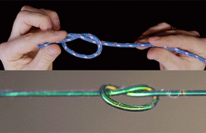 A new mathematical model predicts a knot’s stability A new mathematical model predicts a knots stability