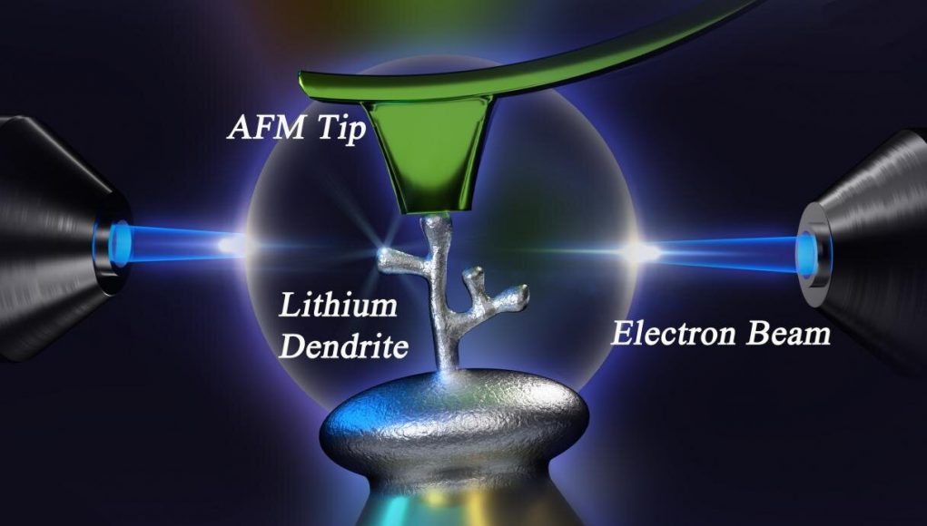 A new method to study lithium dendrites could lead to better safer batteries