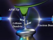 A new method to study lithium dendrites could lead to better safer batteries