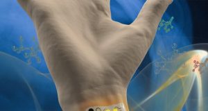 A wearable gas sensor for health and environmental monitoring