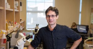 Biologists identify pathways that extend lifespan by 500