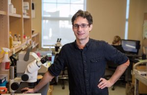 Biologists identify pathways that extend lifespan by 500% Biologists identify pathways that extend lifespan by 500