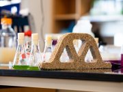 Building materials come alive with help from bacteria scaled