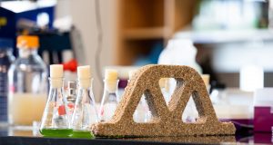Building materials come alive with help from bacteria scaled