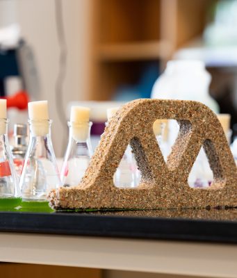 Building materials come alive with help from bacteria scaled