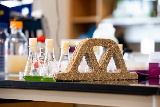 Building materials come alive with help from bacteria scaled