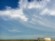 Chemists find fungal shrapnel in the air