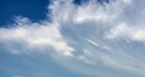 Chemists find fungal shrapnel in the air