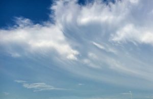 Chemists find fungal shrapnel in the air Chemists find fungal shrapnel in the air