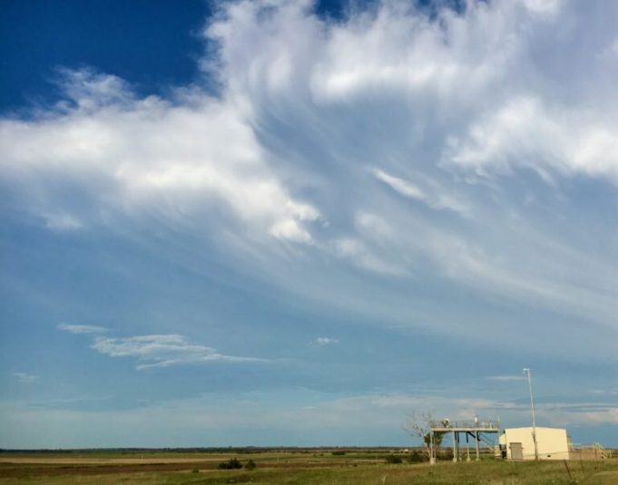 Chemists find fungal shrapnel in the air Chemists find fungal shrapnel in the air