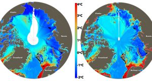 Climate gas budgets highly overestimate methane discharge from Arctic Ocean scaled