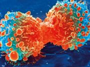 Copper based nanomaterials can kill cancer cells in mice 1