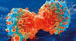 Copper based nanomaterials can kill cancer cells in mice 1