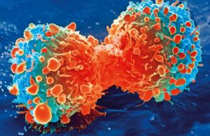 Copper-based nanomaterials can kill cancer cells in mice Copper based nanomaterials can kill cancer cells in mice 1