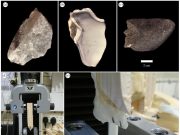 Early humans revealed to have engineered optimized stone tools at Olduvai Gorge