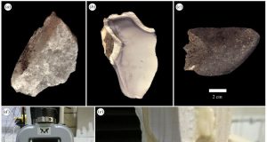 Early humans revealed to have engineered optimized stone tools at Olduvai Gorge