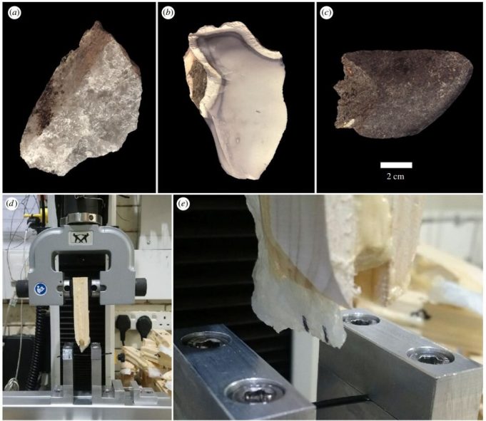 Early humans revealed to have engineered optimized stone tools at Olduvai Gorge Early humans revealed to have engineered optimized stone tools at Olduvai Gorge