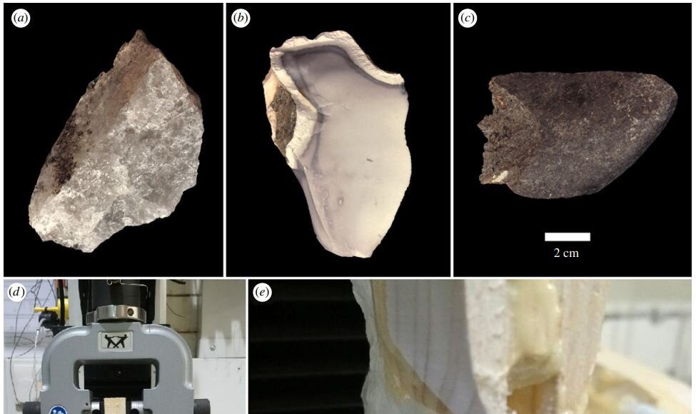 Early humans revealed to have engineered optimized stone tools at Olduvai Gorge