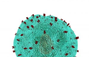 Finding a new way to fight late-stage sepsis by boosting cells’ antibacterial properties Finding a new way to fight late stage sepsis by boosting cells antibacterial properties