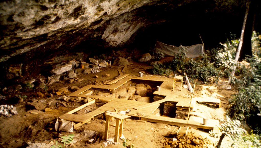 First ancient DNA from West Africa illuminates the deep human past scaled