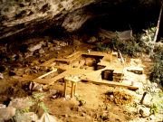 First ancient DNA from West Africa illuminates the deep human past scaled