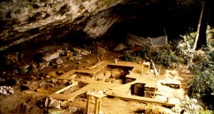 First ancient DNA from West Africa illuminates the deep human past scaled
