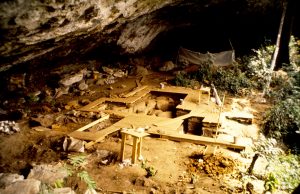 First ancient DNA from West Africa illuminates the deep human past First ancient DNA from West Africa illuminates the deep human past scaled