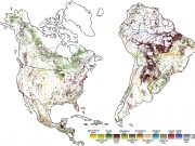 Geographers find tipping point in deforestation scaled