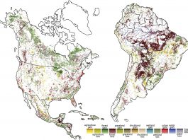 Geographers find tipping point in deforestation scaled