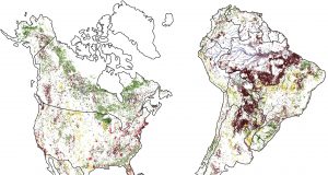 Geographers find tipping point in deforestation scaled