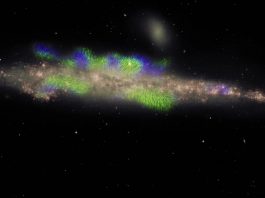 Giant magnetic ropes seen in Whale Galaxys halo