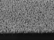 Green methane from artificial photosynthesis could recycle CO2