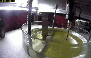 High-gravity water waves High gravity water waves