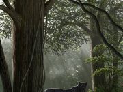 Human caused biodiversity decline started millions of years ago 1