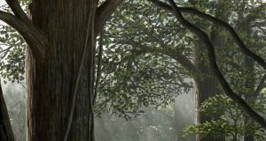 Human caused biodiversity decline started millions of years ago 1