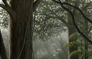 Human-caused biodiversity decline started millions of years ago Human caused biodiversity decline started millions of years ago 1