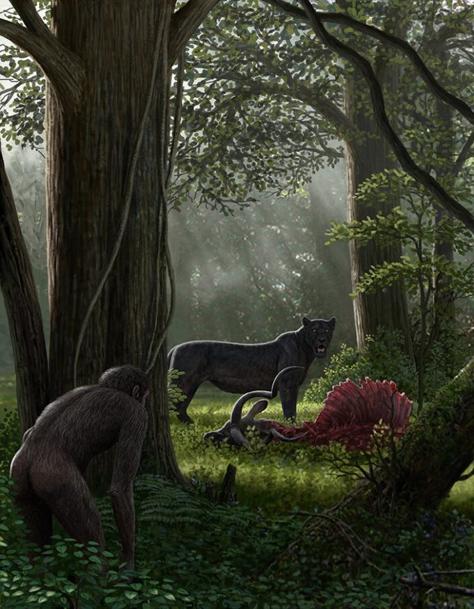 Human caused biodiversity decline started millions of years ago 1