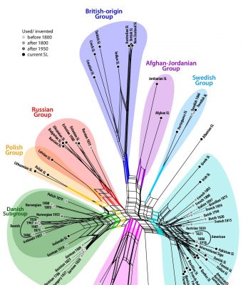 Interdisciplinary study reveals new insights into the evolution of sign languages