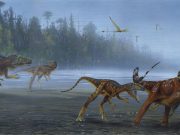 New species of Allosaurus discovered in Utah