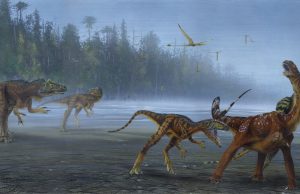 New species of Allosaurus discovered in Utah New species of Allosaurus discovered in Utah