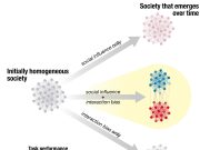 Of ants and men Ant behavior might mirror political polarization scaled