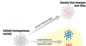 Of ants and men Ant behavior might mirror political polarization scaled
