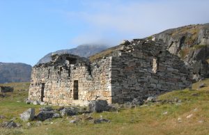 Over-hunting walruses contributed to the collapse of Norse Greenland, study suggests Over hunting walruses contributed to the collapse of Norse Greenland study suggests