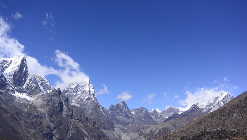 Plant life expanding in the Everest region scaled