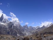Plant life expanding in the Everest region scaled