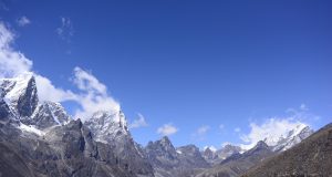 Plant life expanding in the Everest region scaled